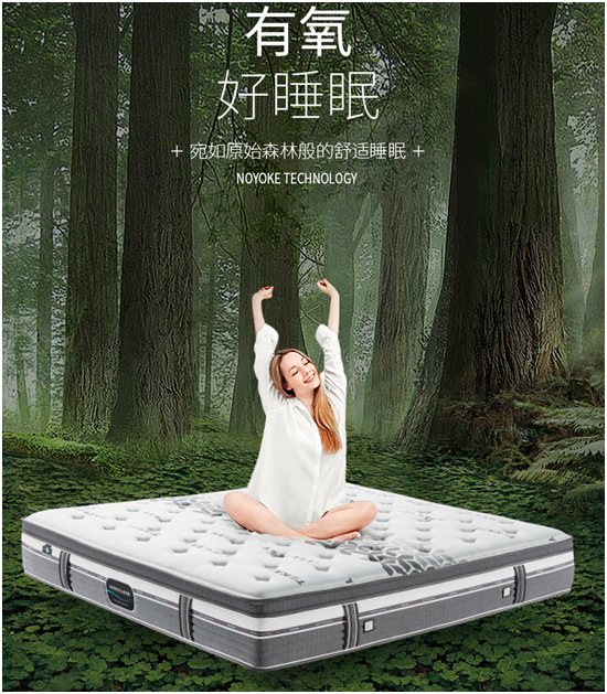 康丽莱家居：以工匠精神营造极致睡眠体验